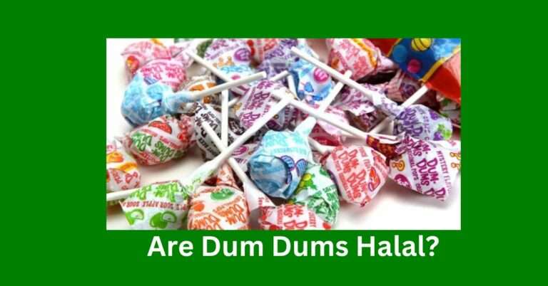 Are Dum Dums Halal?