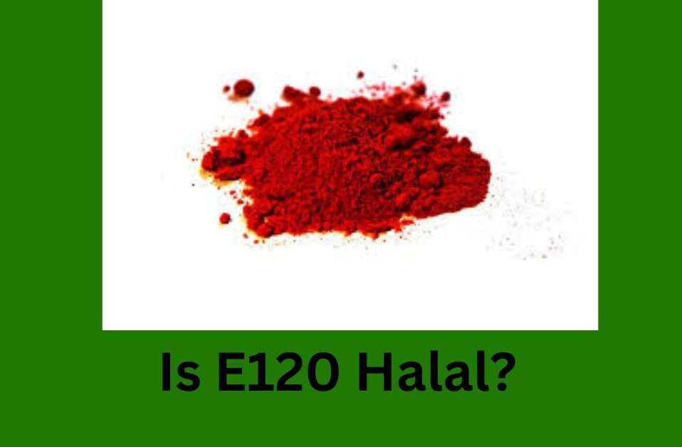 Is E120 Halal?