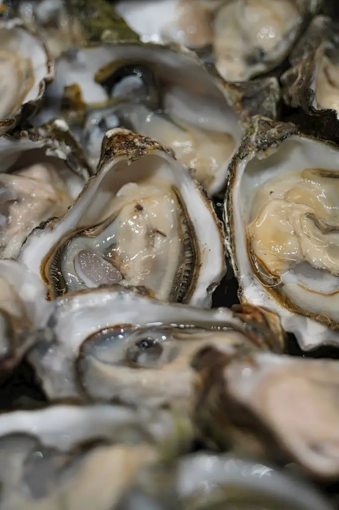 Are Oysters Halal?