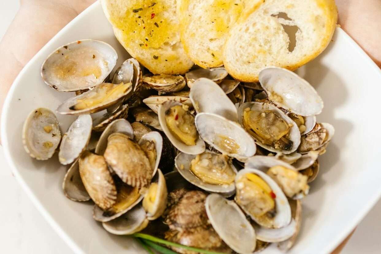 Are Clams Halal?