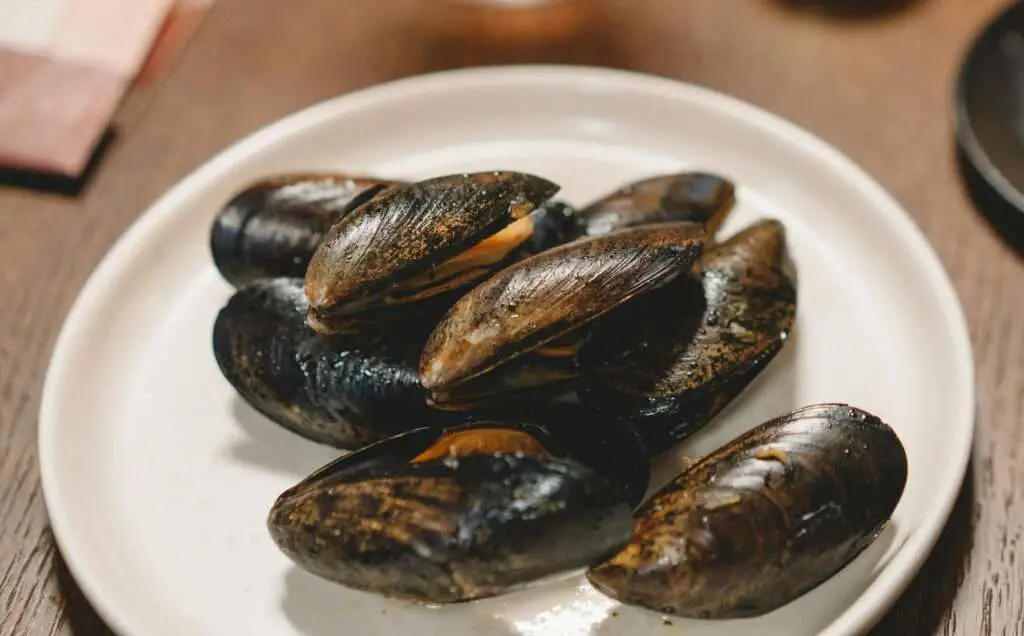 Are Mussels halal?