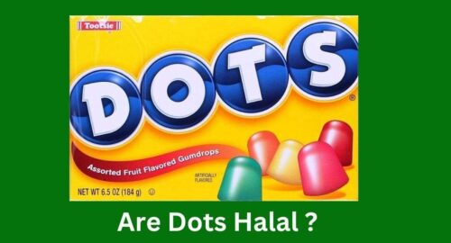 Are Dots Halal or Haram?Uncovering the Facts Behind the Chewy Treat