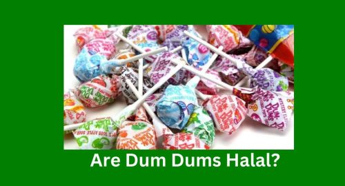 Are Dum Dums Halal?