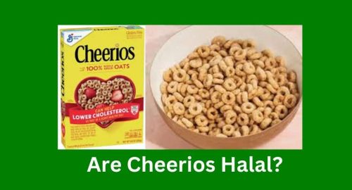 Are Cheerios Halal? Discover the Truth Behind This Popular Cereal