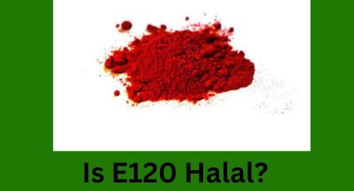 Is E120 Halal? Understanding Its Halal Status and Alternatives