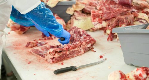 How Halal or Haram Meat Is Slaughtered: A Detailed Guide