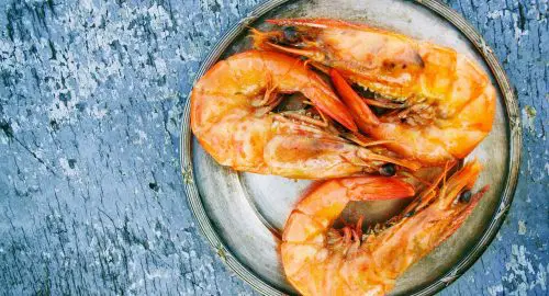 Are Prawns Halal or Haram? Unravelling the Islamic Debate