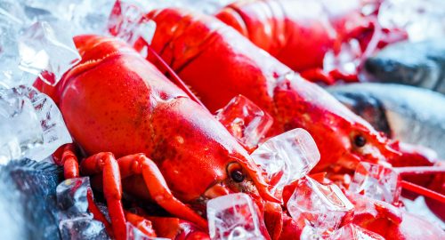 🦞 Is Red Lobster Halal? A Complete Islamic Perspective